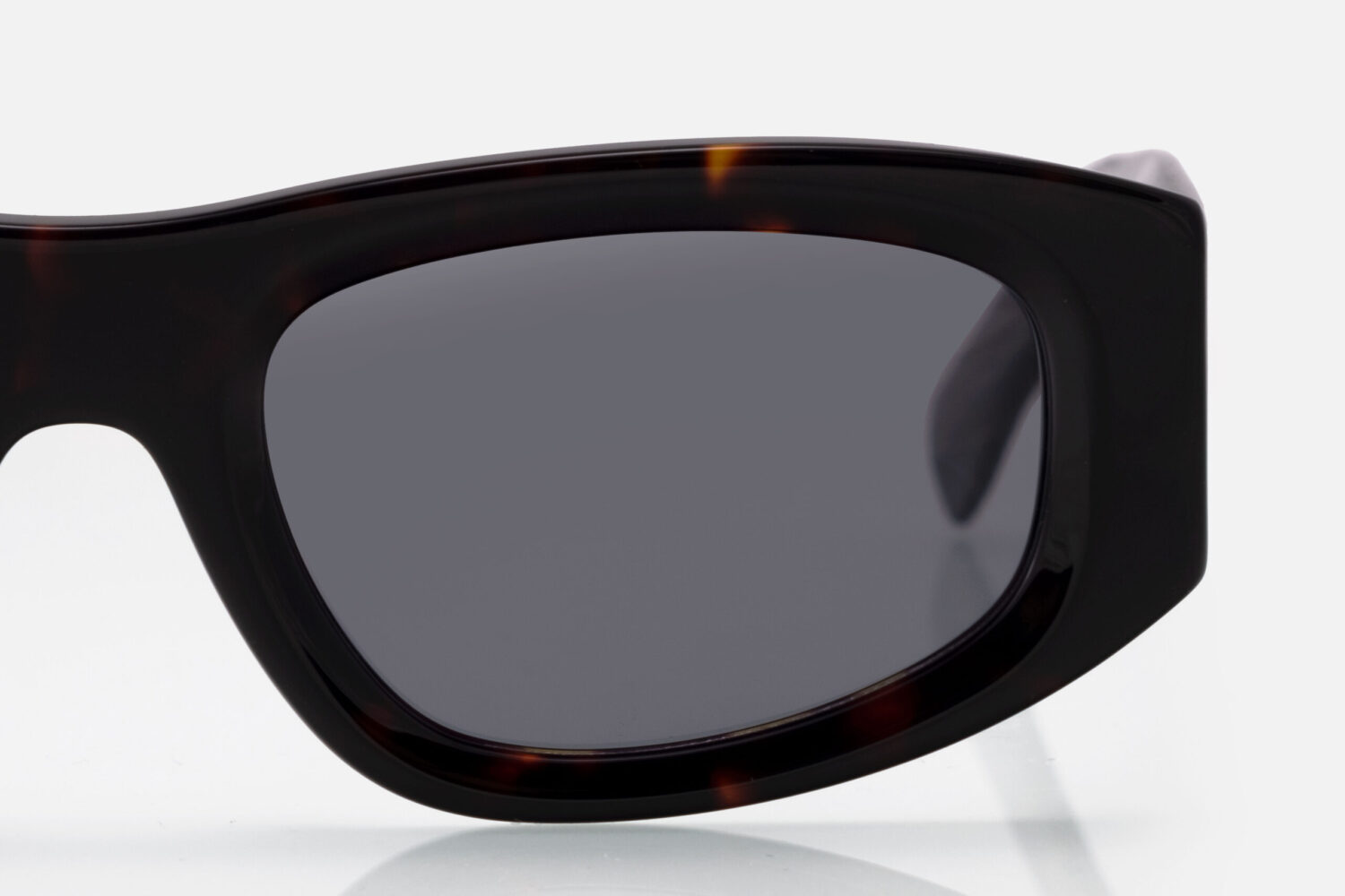 Ariadne Tortoise - Image 3