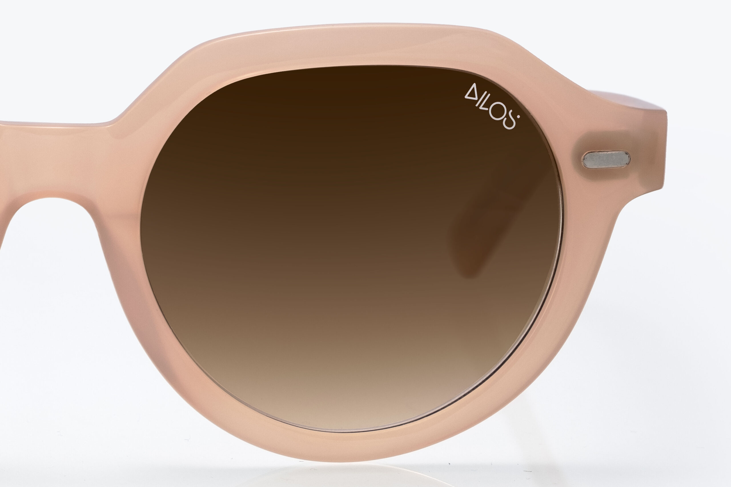 DSCF8988 Peleus Brown - Image 3